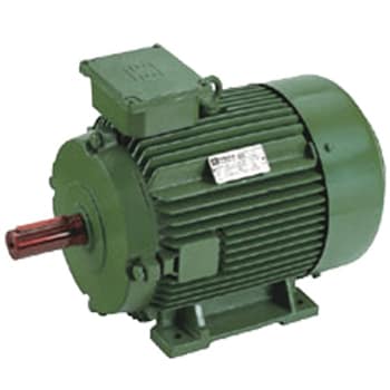 Energy Efficient Induction Motors-Three Phase Squirrel Cage